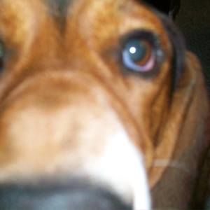 Meet your Posher, Joanie